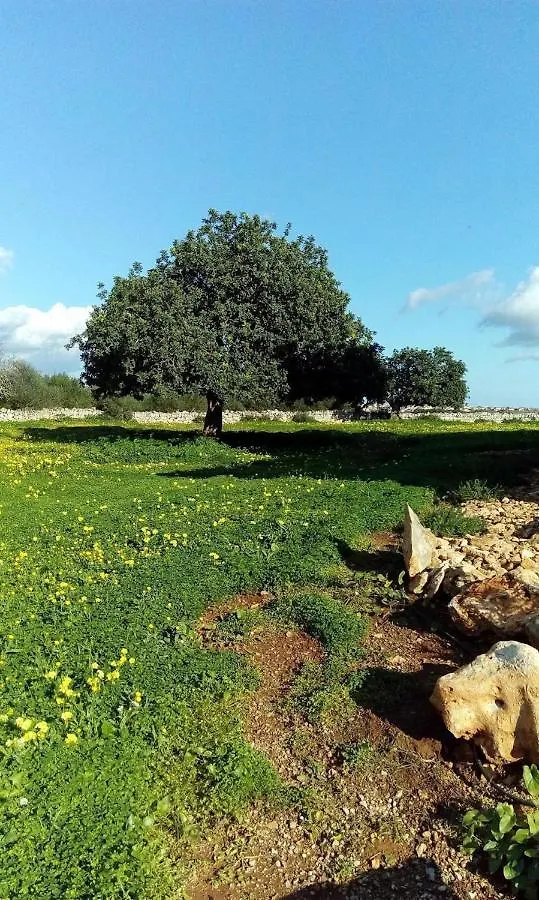 Finca Sa Sort Villa Santanyi